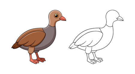 Charming Chilean Tinamou Bird Illustrationのイラスト素材