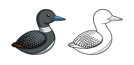 Common Loon Bird Colorful Artworkのイラスト素材