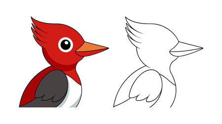 Realistic Red-Headed Woodpecker Bird Illustrationのイラスト素材