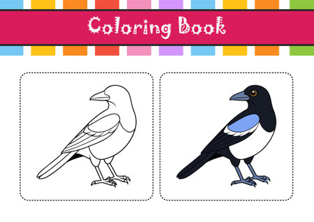 Dynamic Australian Magpie Bird Artworkのイラスト素材