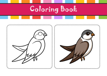 Beautiful Alpine Swift Bird Representationのイラスト素材