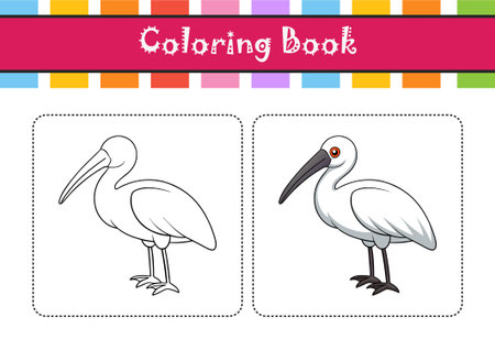 Stunning Black-Faced Spoonbill Bird Illustrationのイラスト素材