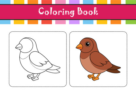 Realistic Cinnamon Quail Thrush Bird Illustrationのイラスト素材