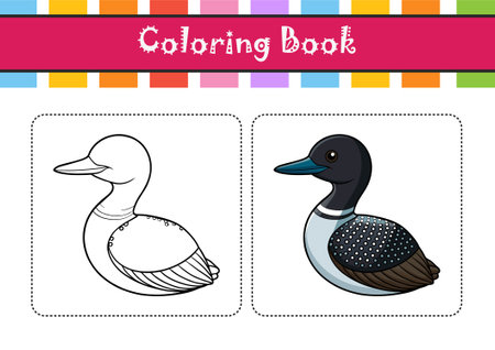 Vivid Common Loon Bird Designのイラスト素材