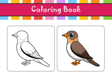 Charming Mangrove Cuckoo Bird Artworkのイラスト素材