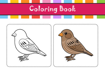 Pine Siskin Bird Realistic Artのイラスト素材