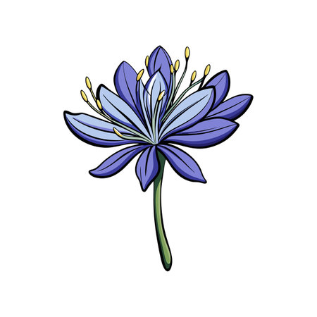 Artistic Agapanthus Flower Design Featuring Bold Colorsのイラスト素材