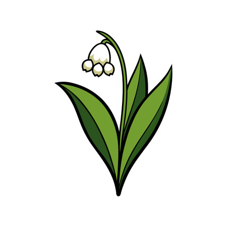 Vivid Lily of the Valley Flower Realistic Designのイラスト素材