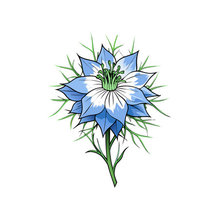 Elegant Love in a Mist Flower Illustration for Natureのイラスト素材