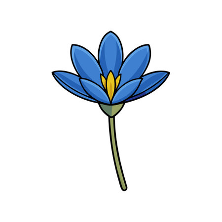 Beautiful Little Bluestem Flower Colorful Representationのイラスト素材