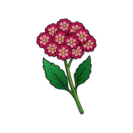 Charming Yarrow Flower Showcasing Unique Featuresのイラスト素材