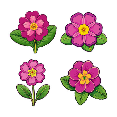 Vibrant Showy Primrose Bright Designのイラスト素材