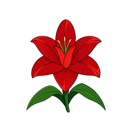 Elegant Red Ginger Lily Flower Artwork for Home Decorのイラスト素材
