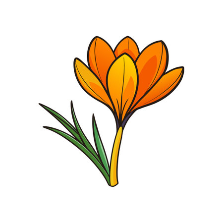 Gorgeous Saffron Crocus Flower Illustration for Floral Displaysのイラスト素材