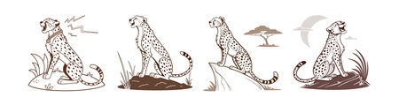 Cheetah cartoon outline illustrations safari theme setのイラスト素材