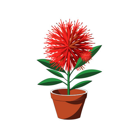 Red Bottlebrush flower in a brown potのイラスト素材