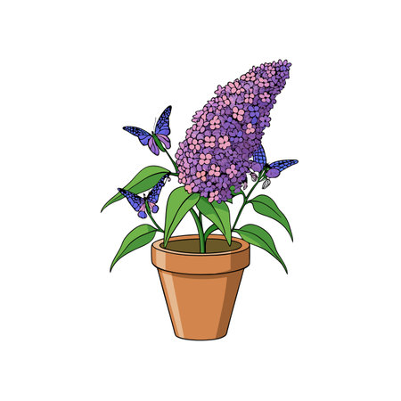 Butterfly Bush in Pot with Monarch Butterflies