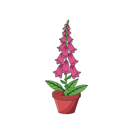 Potted Purple Foxglove Flower Illustration on Whiteのイラスト素材
