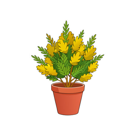 Cartoon Mimosa Plant in Pot Illustrationのイラスト素材