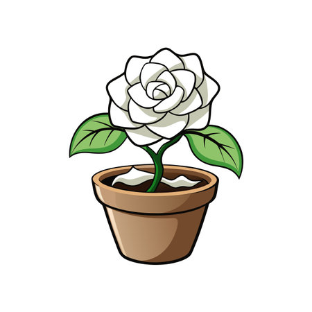 Cartoon white rose in pot illustration designのイラスト素材