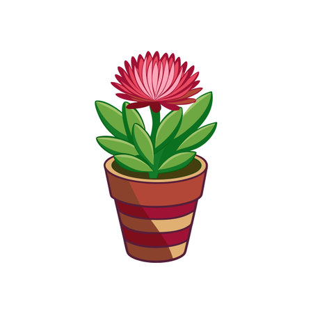 Pink pincushion flower in a striped potのイラスト素材