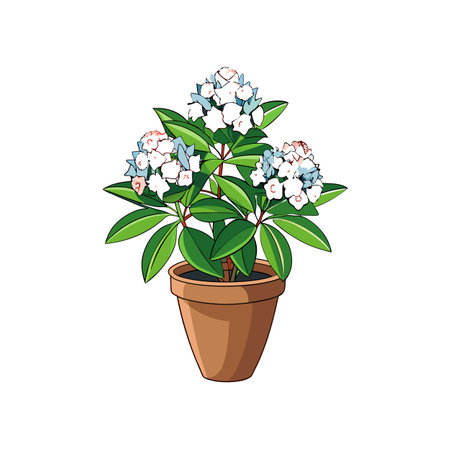Mountain Laurel Plant in a Brown Potのイラスト素材