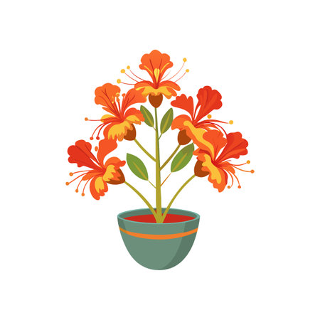 Elegant potted Royal Poinciana flower illustrationのイラスト素材