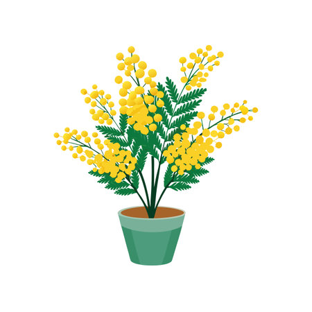 Mimosa Plant in Pot, Yellow Flowers Illustrationのイラスト素材