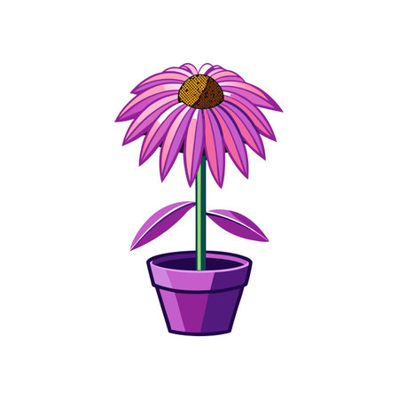 Purple Coneflower Plant in Pot Illustrationのイラスト素材
