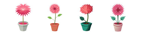 Pink Flower in Pot Illustrationのイラスト素材
