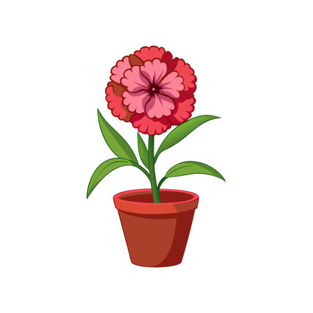 Pink Carnation Flower in Pot Illustrationのイラスト素材
