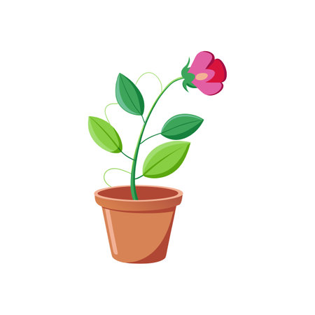 Cartoon Potted Plant with Pink Flower Illustrationのイラスト素材
