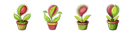 Cartoon Venus Flytrap Plant in Pot Illustrationのイラスト素材