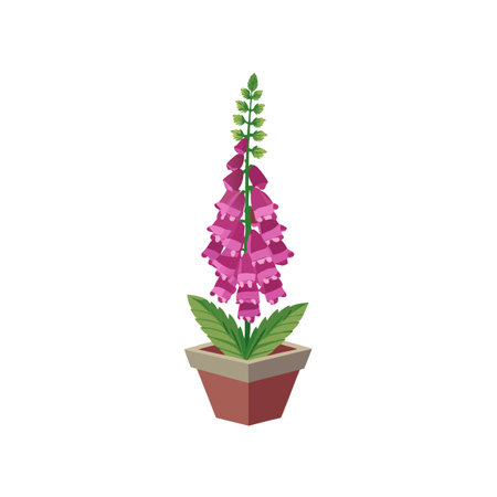 Foxglove flower in pot digital artworkのイラスト素材