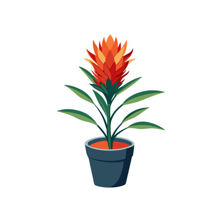 Potted Orange Flower Illustration on White Backgroundのイラスト素材