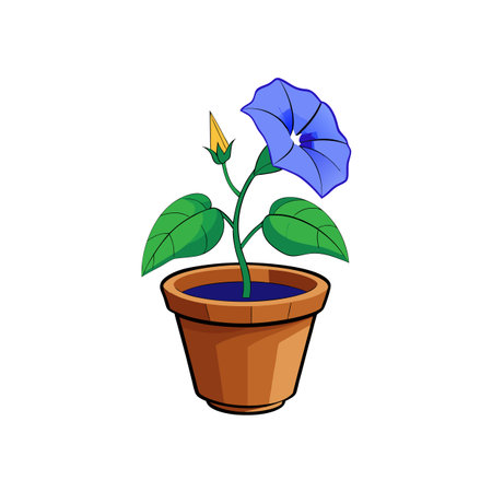 Blue Morning Glory in a Terracotta Potのイラスト素材