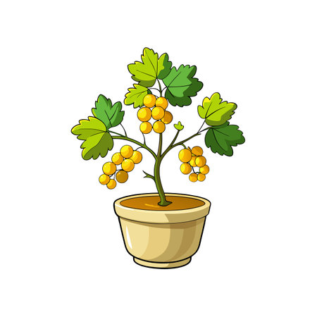 Potted Golden Currant Plant Illustration on Whiteのイラスト素材