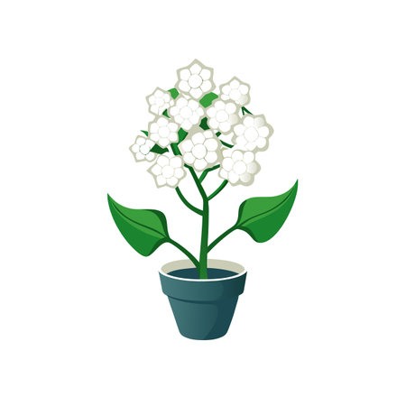 White Flowers in Pot Vector Illustrationのイラスト素材
