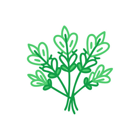 Aromatic Fresh Herbs Bunchのイラスト素材