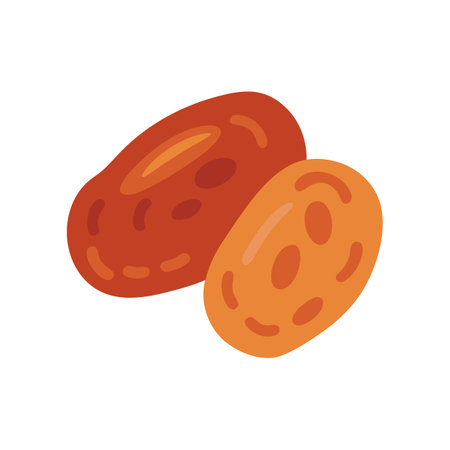 Organic Date Fruitのイラスト素材