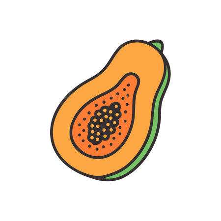 Nutritious Papaya Halfのイラスト素材