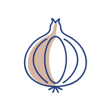 Artistic Whole Onion Designのイラスト素材