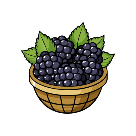Blackberries in a basket. Fresh, sweet, and ripe.のイラスト素材