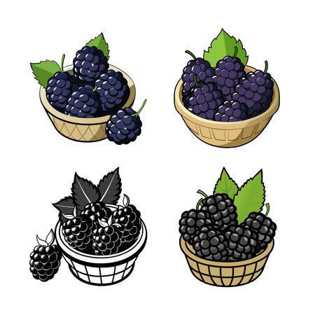 Basket of Blackberries Fresh, Cartoon Style Illustrationのイラスト素材