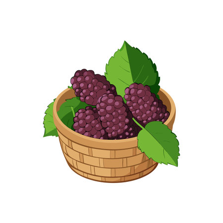 Mulberries in Wicker Basket: Healthy Berry Still Lifeのイラスト素材
