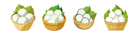 White mulberries in basket, fresh fruit illustration imageのイラスト素材
