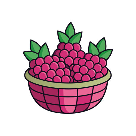 Raspberries in a Basket Illustration for Design Projectsのイラスト素材