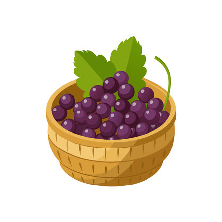 Cartoon Basket of Purple Grapes with Green Leavesのイラスト素材