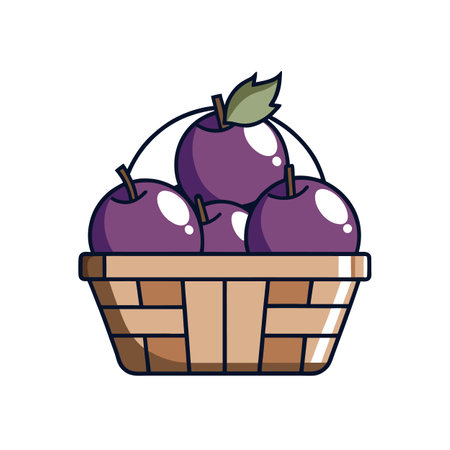 Basket of Fresh Plums, Healthy Fruit Illustrationのイラスト素材