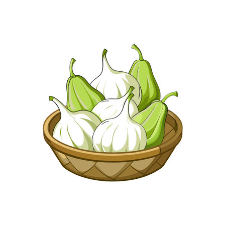 Basket of Garlic and Chayote Squash Illustrationのイラスト素材